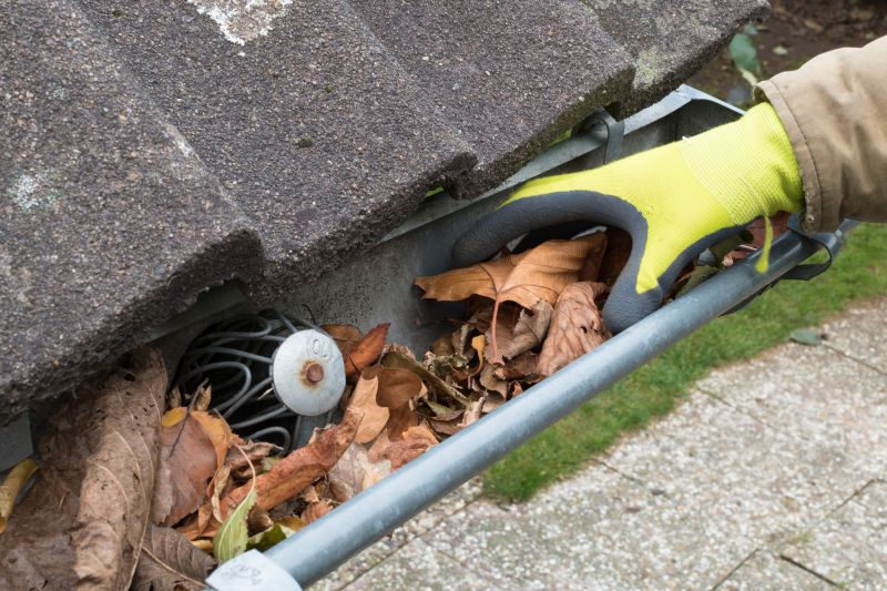 Business Gutter Cleaning in Mcdonough, GA
