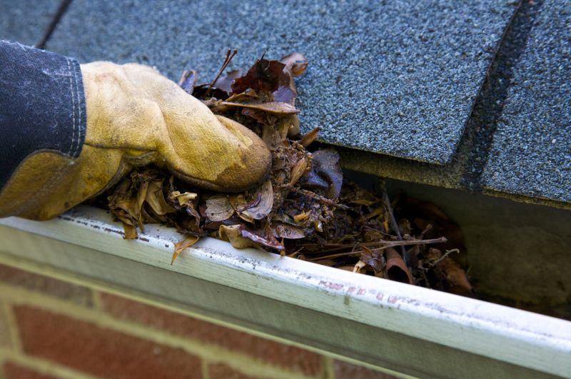 Clogged Gutter Clearing in Bergen County, NJ
