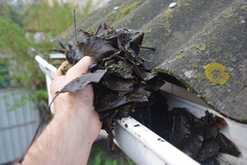 Garage Gutter Cleaning in Fredericksburg, VA