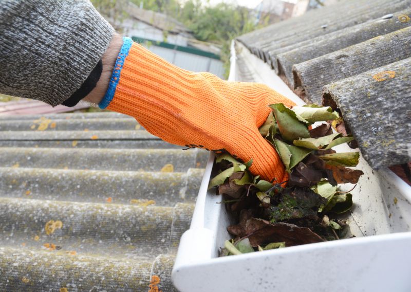 Gutter Leaves Removal in Frederick, MD