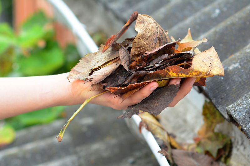 Gutter Leaves Removal in Fredericksburg, VA