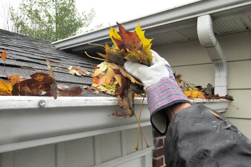 Gutter Pine Needle Removal in Bergen County, NJ