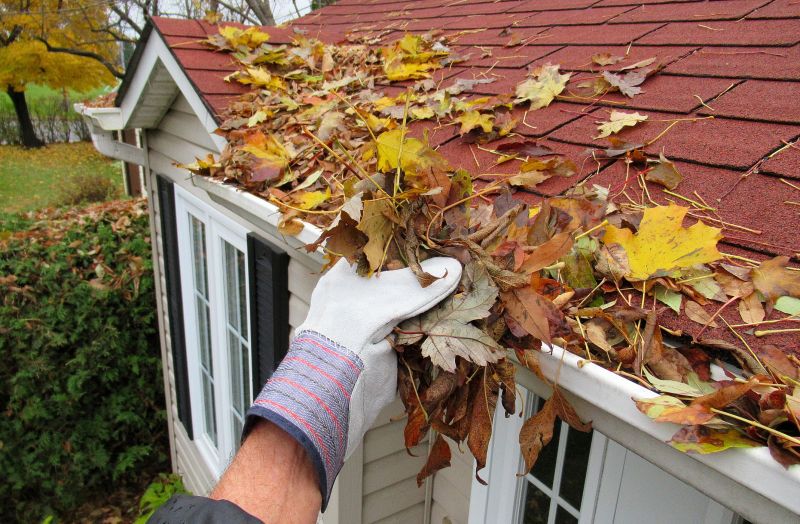 Roof Gutter Cleaning in Bergen County, NJ